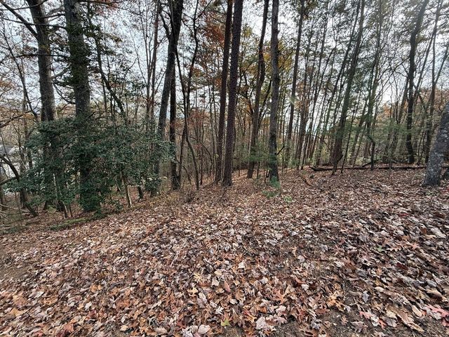 12 North Ridge Drive, Ellijay, GA 30540