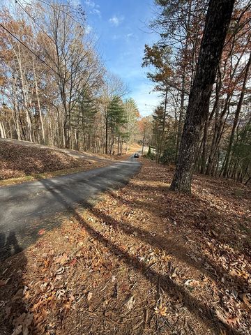 12 North Ridge Drive, Ellijay, GA 30540