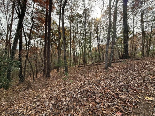 12 North Ridge Drive, Ellijay, GA 30540