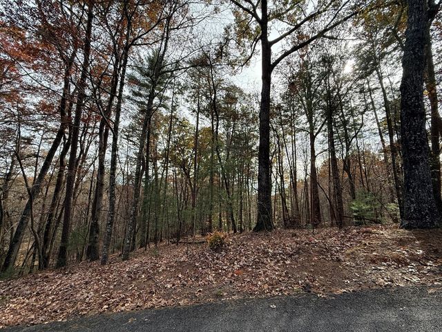 12 North Ridge Drive, Ellijay, GA 30540