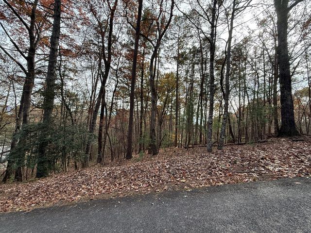 12 North Ridge Drive, Ellijay, GA 30540