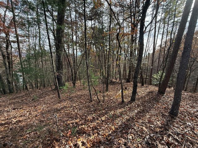 12 North Ridge Drive, Ellijay, GA 30540