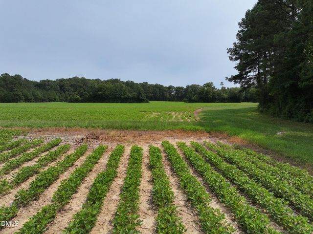Lot 3 Claude Lewis Road, Middlesex, NC 27557