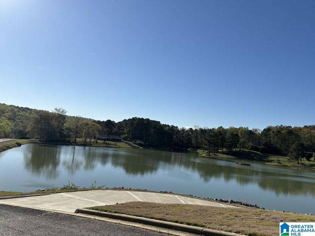 305 GRAY FOX ROAD, Springville, AL 35146