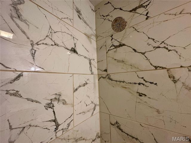 3142 Winnebago Street, St Louis, MO 63118