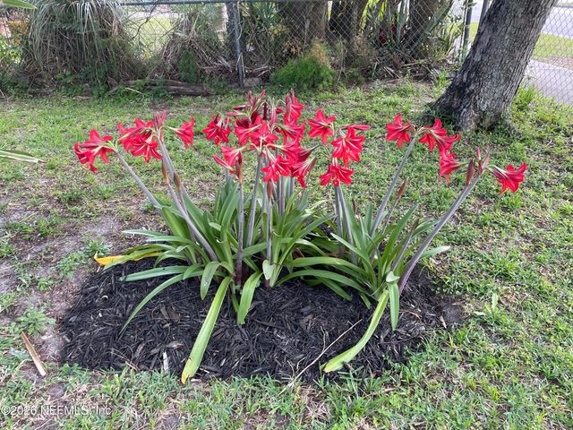 709 N 11TH Street, Palatka, FL 32177