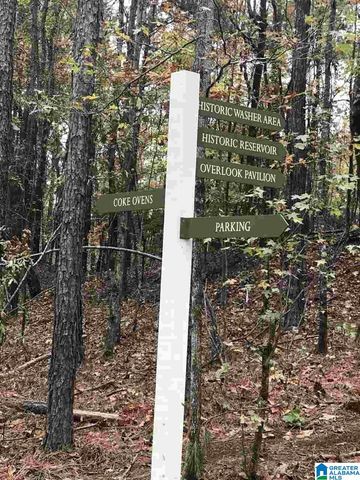 1007 WILTSHIRE LANE, Helena, AL 35080