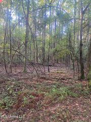 101 Kirby Creek Road, Wiggins, MS 39577