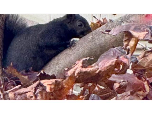 131 MCKINLEY STREET, Two Rivers, WI 54241