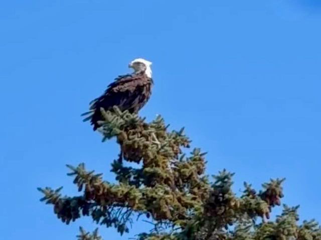 131 MCKINLEY STREET, Two Rivers, WI 54241