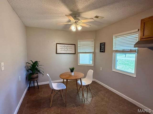 108 Brown Street, Marble Hill, MO 63764