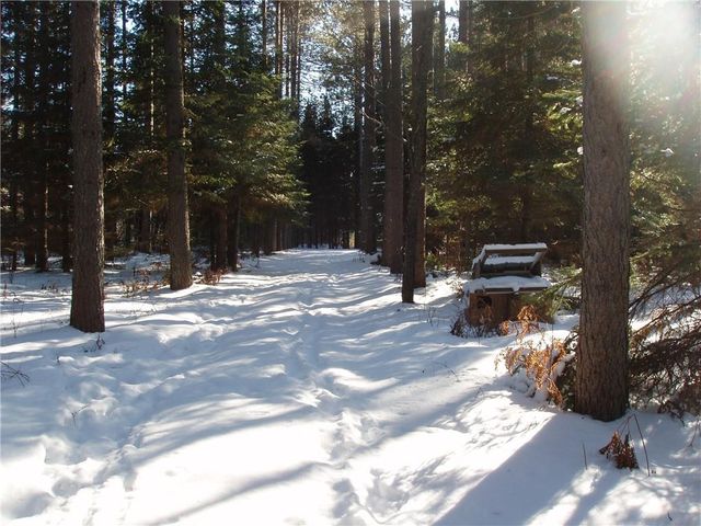 79879 Hinz Road, Glidden, WI 54527