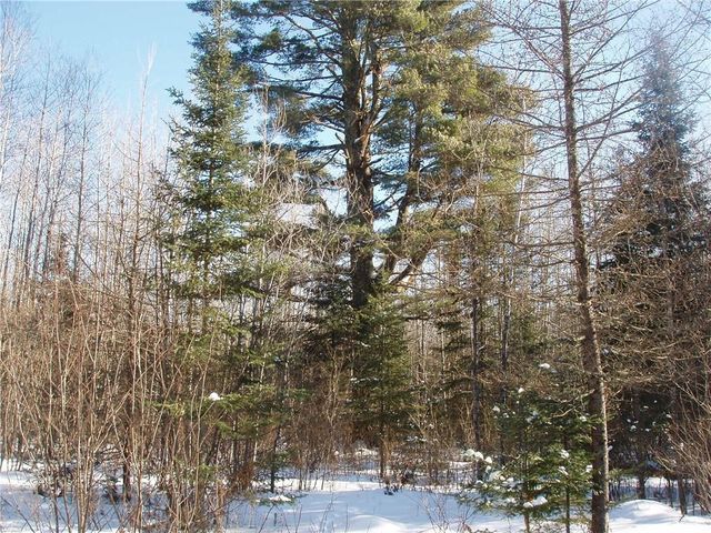 79879 Hinz Road, Glidden, WI 54527