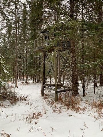 79879 Hinz Road, Glidden, WI 54527