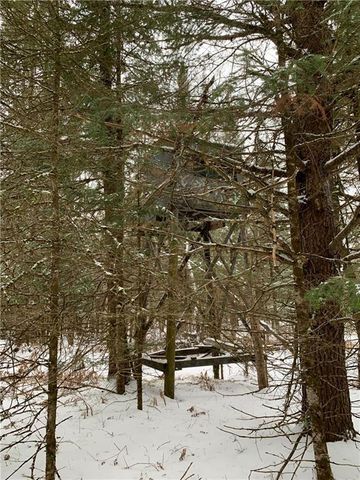 79879 Hinz Road, Glidden, WI 54527