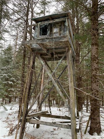 79879 Hinz Road, Glidden, WI 54527