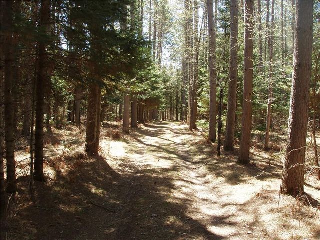 79879 Hinz Road, Glidden, WI 54527