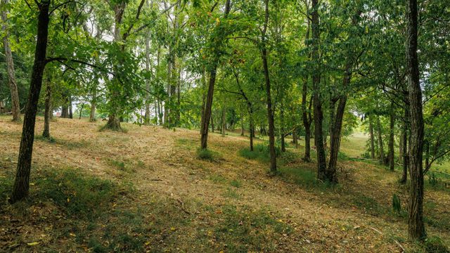 520 DERBY DOWNS, Lebanon, TN 37087