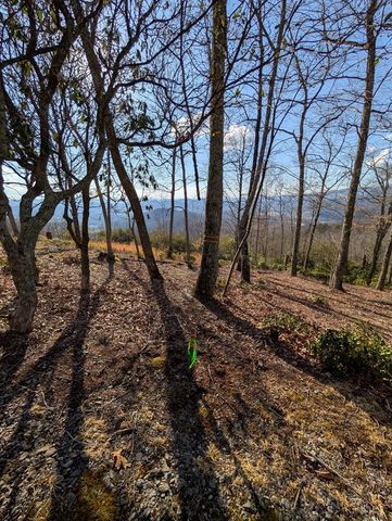 L-16&17 Summit Drive, Hayesville, NC 28904