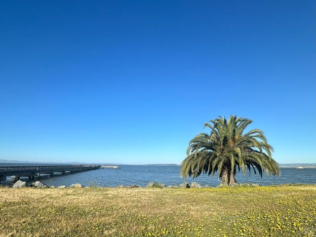 121 San Marino Dr, San Rafael, CA 94901