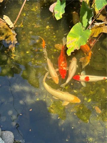 665 N. San Antonio Ave., Upland, CA 91786