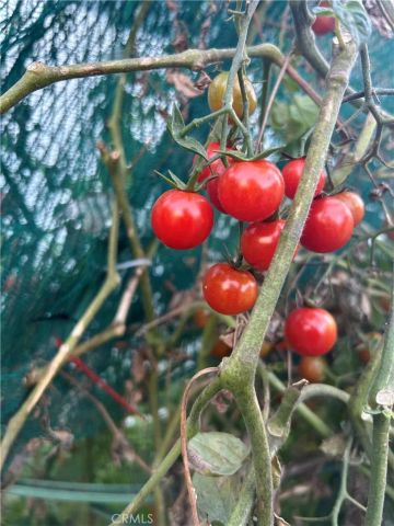 665 N. San Antonio Ave., Upland, CA 91786