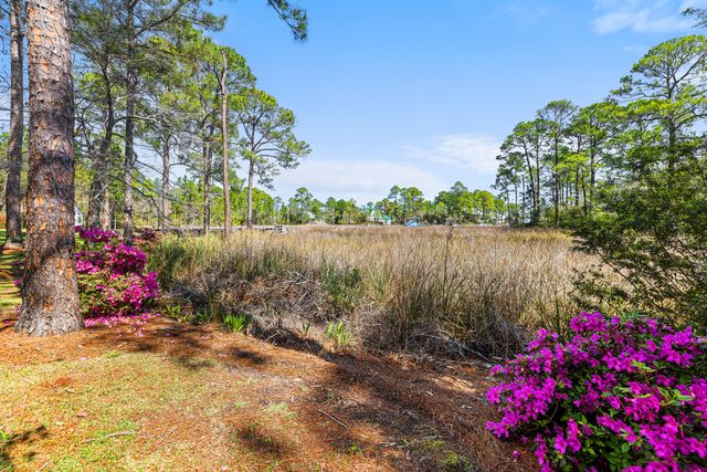 252 Pisces Drive, Santa Rosa Beach, FL 32459