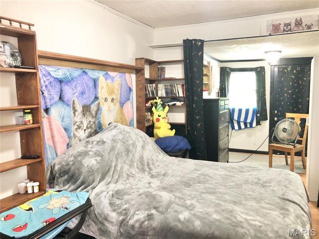 1003 W Ellis Street, Salem, MO 65560