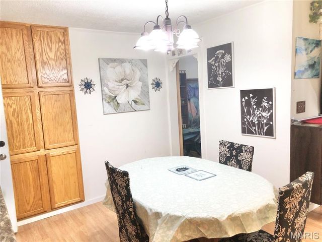 1003 W Ellis Street, Salem, MO 65560