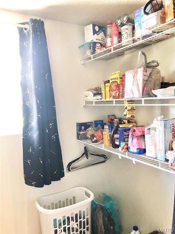 1003 W Ellis Street, Salem, MO 65560