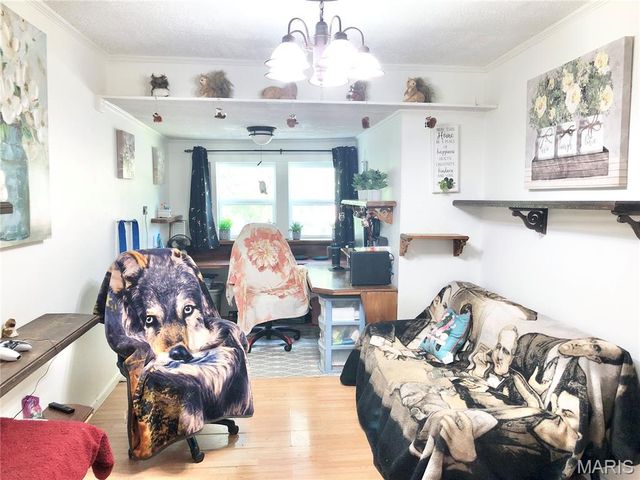 1003 W Ellis Street, Salem, MO 65560