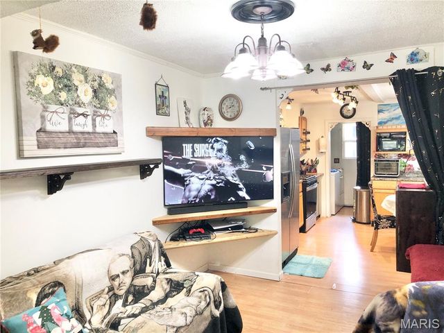 1003 W Ellis Street, Salem, MO 65560