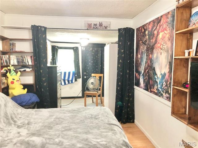 1003 W Ellis Street, Salem, MO 65560