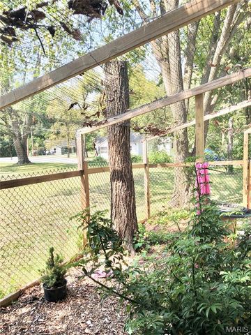 1003 W Ellis Street, Salem, MO 65560