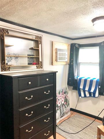 1003 W Ellis Street, Salem, MO 65560