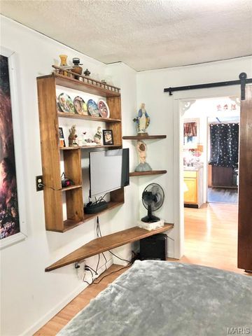 1003 W Ellis Street, Salem, MO 65560