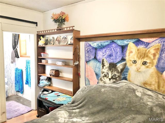 1003 W Ellis Street, Salem, MO 65560