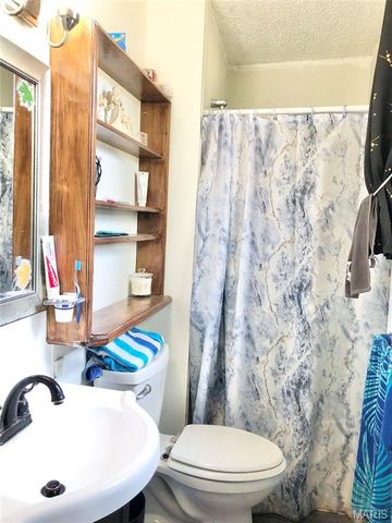 1003 W Ellis Street, Salem, MO 65560