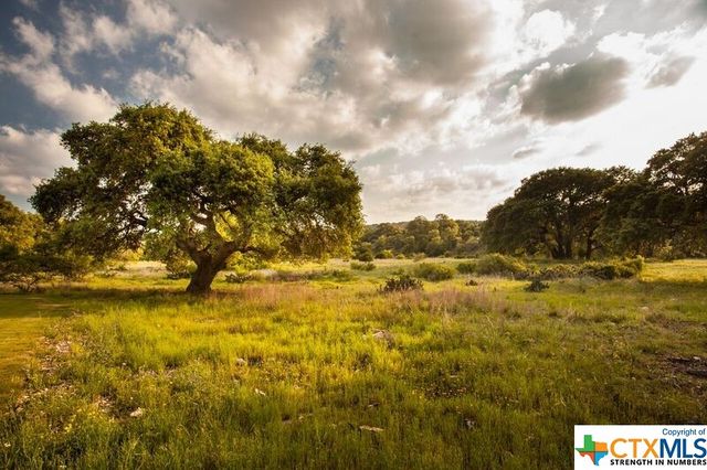 584 Tobacco Pass, New Braunfels, TX 78132