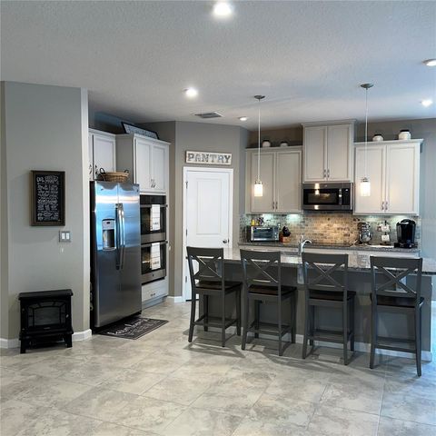 456 WINTER SOLSTICE LANE, Mount Dora, FL 32757