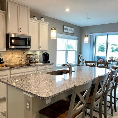 456 WINTER SOLSTICE LANE, Mount Dora, FL 32757