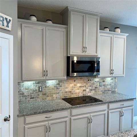 456 WINTER SOLSTICE LANE, Mount Dora, FL 32757