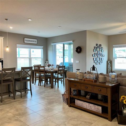 456 WINTER SOLSTICE LANE, Mount Dora, FL 32757