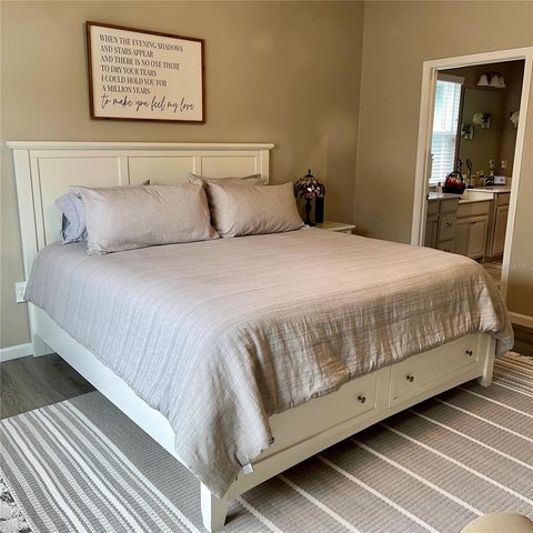 456 WINTER SOLSTICE LANE, Mount Dora, FL 32757