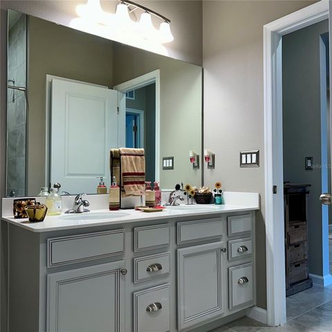 456 WINTER SOLSTICE LANE, Mount Dora, FL 32757