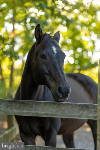 143 EDGEMONT CIR, Locust Grove, VA 22508