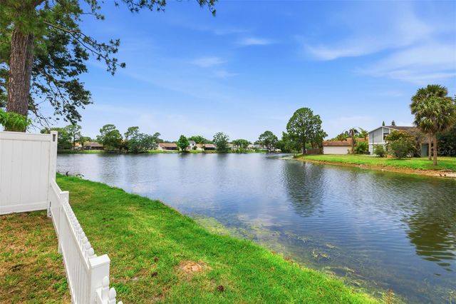10315 CHADBOURNE DRIVE, Tampa, FL 33624