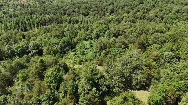 0 Oak Bend, Cecil, AR 72930