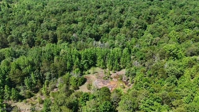 0 Oak Bend, Cecil, AR 72930