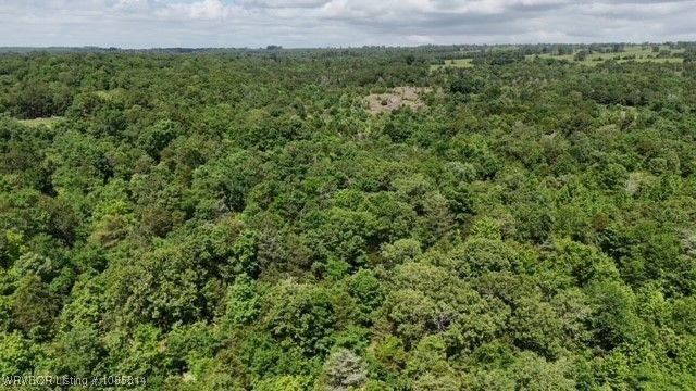 0 Oak Bend, Cecil, AR 72930